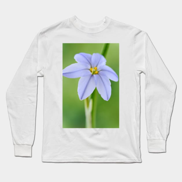 Ipheion &#39;Rolf Fiedler&#39; AGM Spring starflower Long Sleeve T-Shirt by chrisburrows